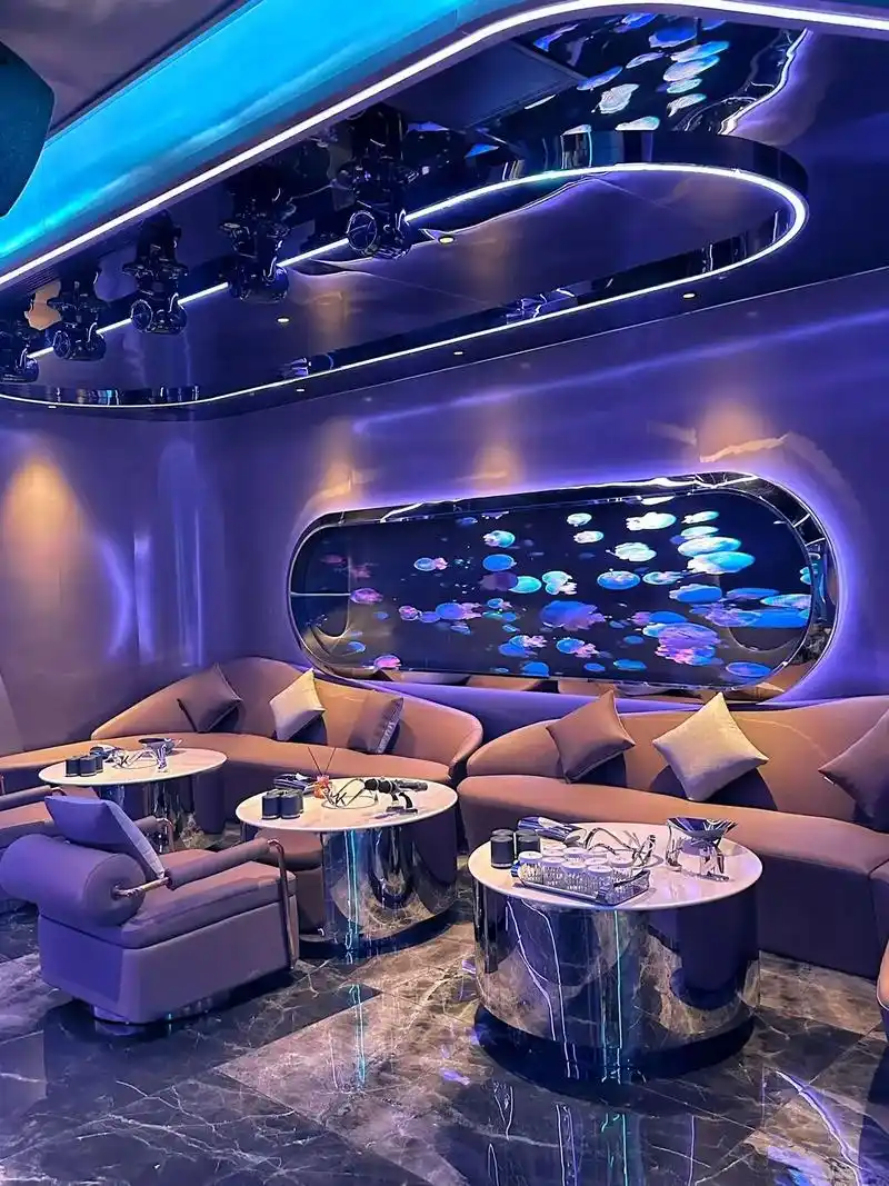 营口商务KTV，什么是商务KTV？-鲅鱼圈区ktv预定